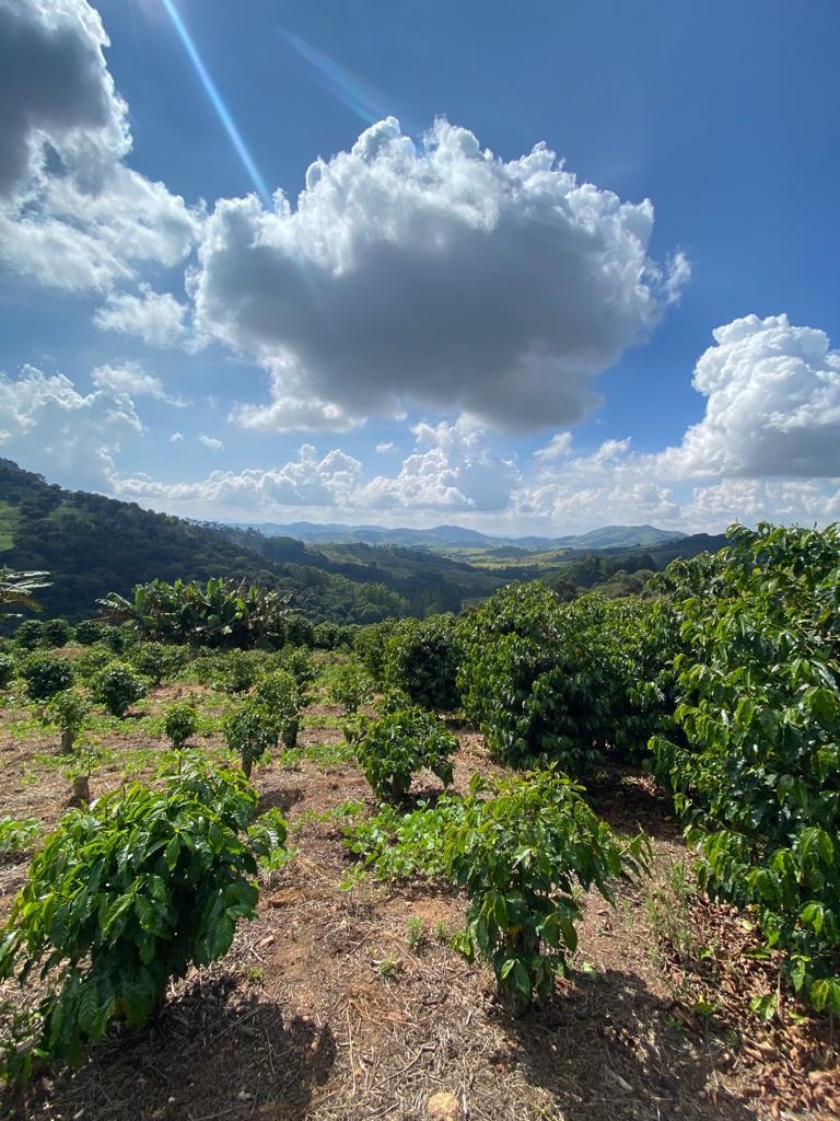 Sítio Pedra Grande